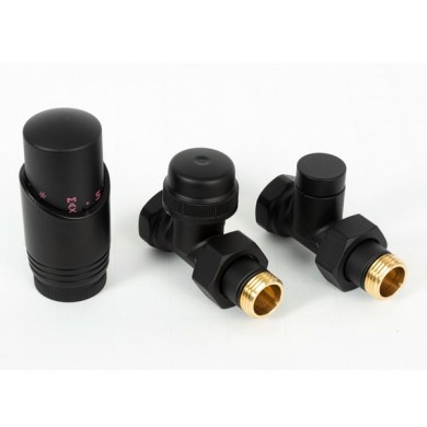 Комплект радиаторный Delta прямой 1/2 с термоголовкой М30х1,5, RAL 9005, чёрный (41400605)