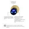 Полотенцесушитель электрический Terminus Рондо П2 350х760 Брашированное золото