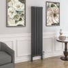 Трубчатый радиатор Delta 2180/12 RAL 7016, нижнее, ВхШхГ - 1800х528х70, 2730 Вт