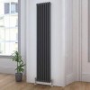 Трубчатый радиатор Delta 2180/12 RAL 7016, нижнее, ВхШхГ - 1800х528х70, 2730 Вт