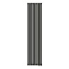 Трубчатый радиатор Empatiko Takt S2-952-2000-24 Confident Black, боковое, ВхШхГ 2036х952х96