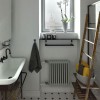 Трубчатый радиатор Rifar TUBOG 3047/33 B RAL 9016 белый глянцевый, боковое, ВхШхГ - 465х1518х107