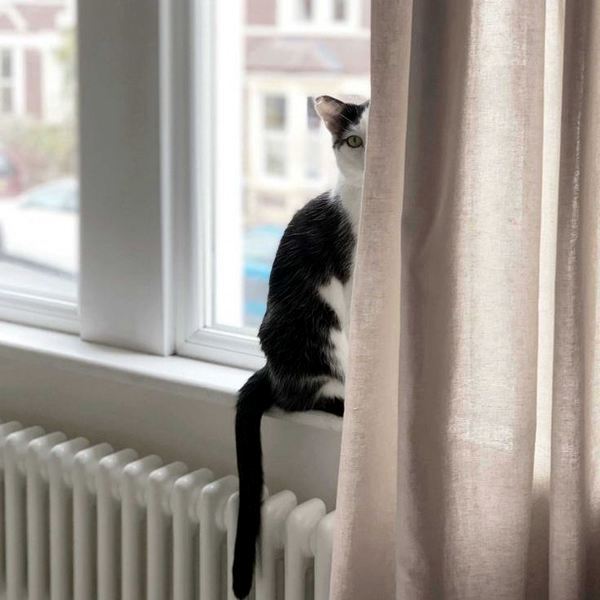 Трубчатый радиатор Velar 2040/42, нижнее разнесённое VLR с вентилем, ВхШхГ - 400х1890х70, 2352 Вт