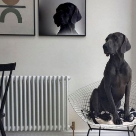 Трубчатый радиатор Velar 2055/19, нижнее подключение V50 с вентилем, ВхШхГ - 550х855х70, 1423 Вт