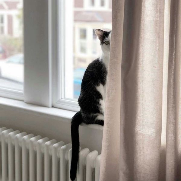 Трубчатый радиатор Velar 2055/27, нижнее подключение B50 без вентиля, ВхШхГ - 550х1215х70, 2022 Вт