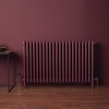 Трубчатый радиатор Zehnder Charleston 570 мм высотой