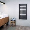 Полотенцесушитель электрический Terma Dexter 1760-400 в цвете палитры RAL