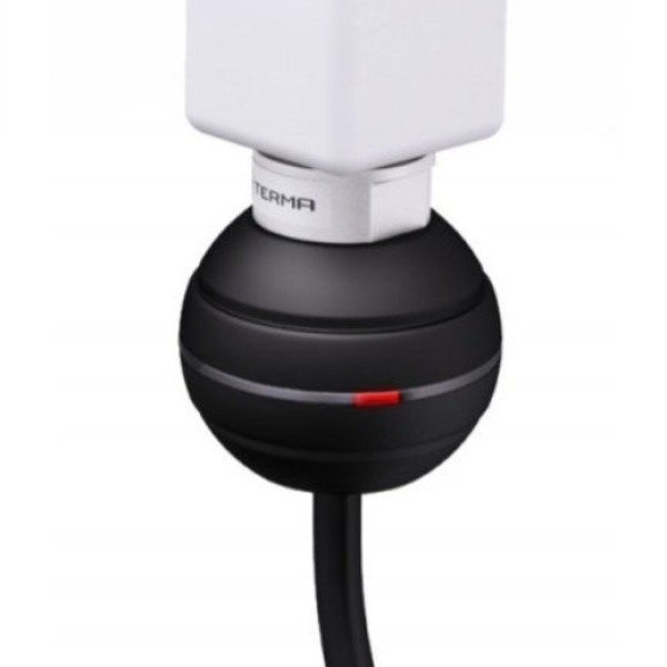 Нагревательный ТЭН Terma REG 2 Черный 300W